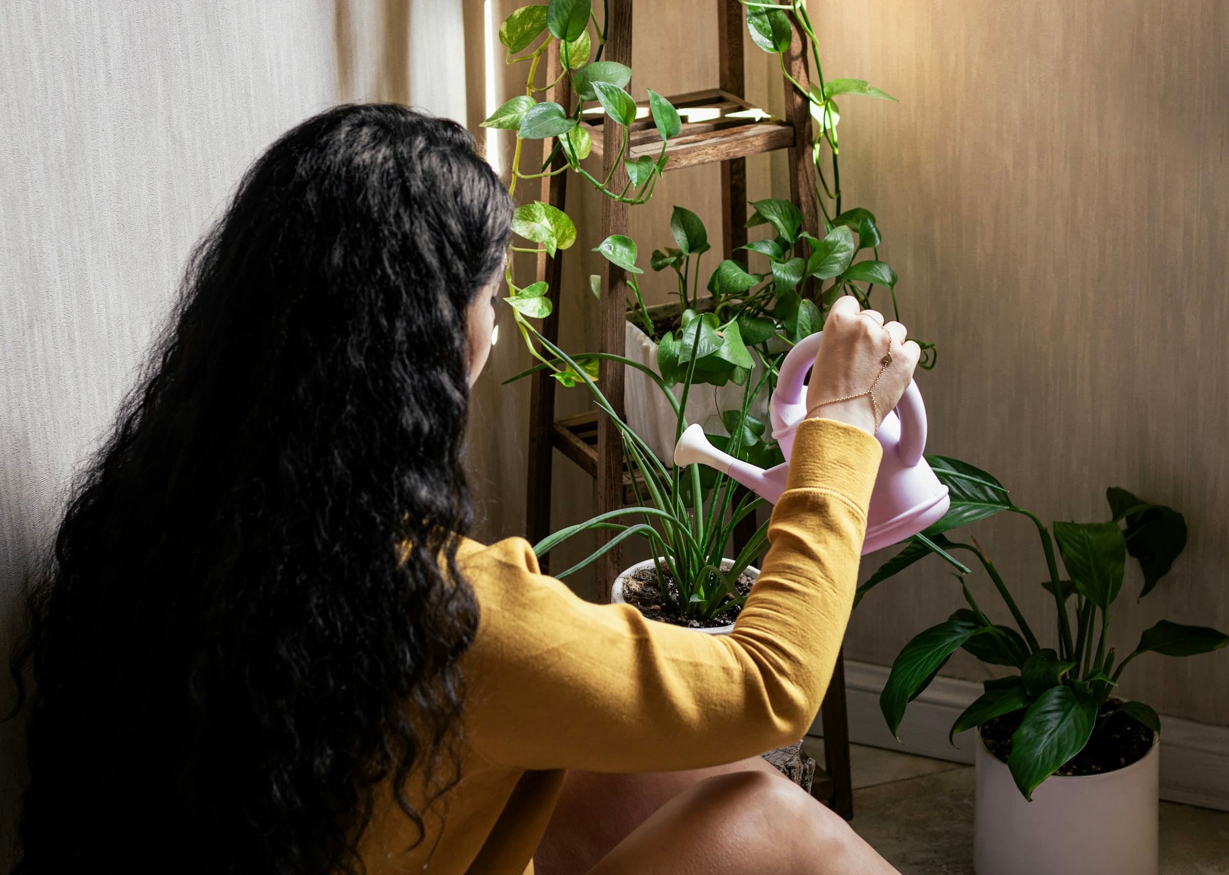 Une personne, vue de dos, arrose des plantes d’intérieur avec un arrosoir rose.